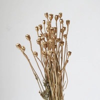 Fleur de coquelicot véritable en or, préservée, en gros, pour arrangements floraux de Noël