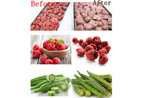 Lyophilisateur domestique compact pour le stockage à long terme des aliments frais - Product Image 3