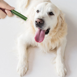 Le meilleur vendeur OEM de bâton de soin dentaire aux épinards et aux collations pour chiens friandises pour animaux de compagnie pour chiens - Product Image 2