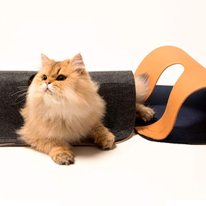Alfombra de juego personalizada para gatos de interior, alfombra de fieltro creativa para gatos, tapete de actividades para mascotas. - Product Image 4