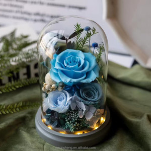 Roses réelles préservées, fleurs éternelles, roses préservées dans un dôme en verre, cadeaux pour la Saint-Valentin pour femmes - Product Image 4