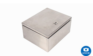 حاوية صناعية مخصصة Ip66 Ik10 من الفولاذ المقاوم للصدأ مع قفل - Product Image 4