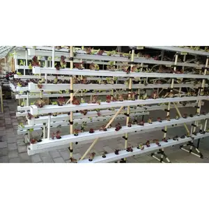 ระบบเรือนกระจกไฮโดรโปนิกส์ NFT มาใหม่พร้อมชุดปลูกท่อ PVC ในร่มและสวน