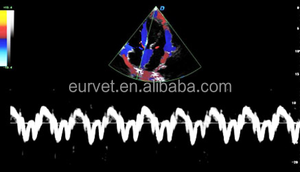 EUR VET Equipo de ultrasonido médico Escáner 4d <span class=keywords><strong>5d</strong></span> Carro digital completo Máquina de ultrasonido Doppler a color - Product Image 5
