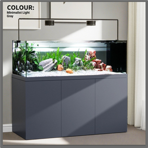Acuario Rectangular Grande con Marco Metálico y Alta Transparencia para Exhibición en Sala de Exposiciones - Product Image 3