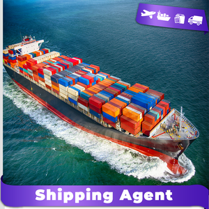 Agente de Transporte Marítimo Confiable de China a Canadá, Agente de Aduanas, Consolidación de Carga, Agente de Envío Marítimo FBA de Confianza - Product Image 5