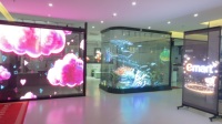 Kios Layar LED Holografik Transparan Bingkai Tipis Layar Piksel P6.25/P3.91 Sudut Pandang 180° Terpasang di Jendela untuk Ritel dan Pendidikan