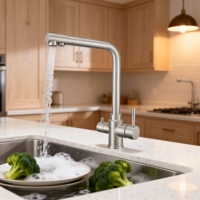 Robinet de cuisine moderne en acier inoxydable 304 avec double poignée, noyau de valve en céramique, pulvérisation latérale, rotation à 360°, filtre à eau, finition brossée, montage sur plan.