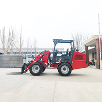 Chinesischer Lieferant für Landwirtschaftliche Mini-Lader DY50 mit Doppelfunktion, Kleiner Landwirtschafts-Radlader