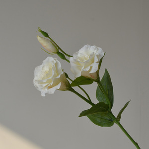 <span class=keywords><strong>Bouquet</strong></span> <span class=keywords><strong>simple</strong></span> de bouquets de fleurs artificielles Eustoma séchées pour la décoration de mariage de Noël pour l'aménagement paysager - Product Image 2