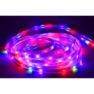 IP68 WS2815/SK6812 Ma Thuật Địa Chỉ Led Light Strip Linh Hoạt Kỹ Thuật Số Led Strip Ánh Sáng WS2815 Pixel Rgb Led Strip