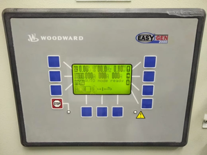 Tout nouveau WOOD WARD 2500 d'origine - Product Image 2