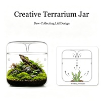 Cadeaux 2026 pour les amateurs de plantes, terrarium de table créatif avec collecteur de rosée, contenants en verre transparent de plusieurs tailles avec couvercle