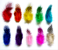 Teint naturel 50pc ploybag plume de guinée pour bricolage artisanat cheveux Costume accessoire de pêche mouche attachant ornement rêve frange décor