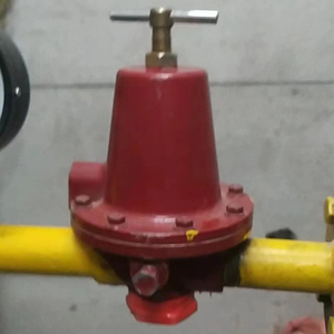Regulador de Gas Industrial de Alta Presión Neumático REGO 1584VN DN15 para GLP, 159 kg/h, Regulador de GLP Rego 1584VN - Product Image 3