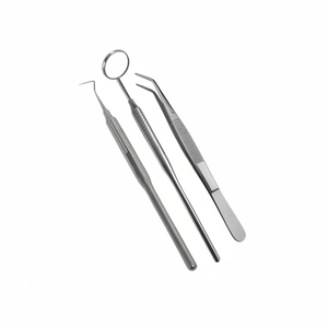 El Kit de inspección dental manual de acero inoxidable de alta calidad incluye Sonda de espejo y pinzas - Product Image 1