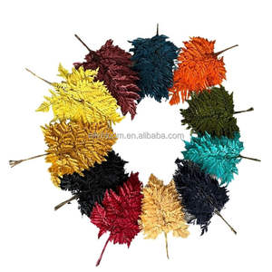 Foglie di <span class=keywords><strong>Felce</strong></span> Essiccate e Conservate Arachniodes, Vendita Diretta dalla Fabbrica dello Yunnan, per Decorazioni Floreali - Product Image 2