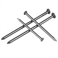 Clous de toiture en acier de haute qualité avec tige barbelée, tête à carreaux, zingués, double capuchon, styles à anneau et spirale