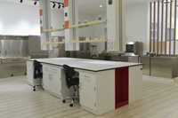 Table de laboratoire dentaire d'établi en acier d'équipement de laboratoire chimique d'école d'hôpital
