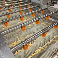 Ligne de production automatique de frites, chips de pommes de terre, anneaux d'oignon, chips de manioc, machine à frire les snacks
