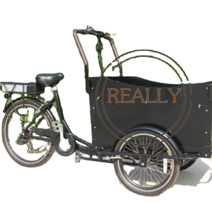 <span class=keywords><strong>Tricycle</strong></span> pour adultes OEM Snake Bike Candy Cart à vendre, <span class=keywords><strong>tricycle</strong></span> <span class=keywords><strong>adulte</strong></span> d'<span class=keywords><strong>occasion</strong></span>, vente de <span class=keywords><strong>tricycle</strong></span> <span class=keywords><strong>adulte</strong></span>, <span class=keywords><strong>tricycle</strong></span> <span class=keywords><strong>adulte</strong></span> deux places pour passager - Product Image 2