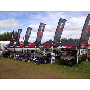 <span class=keywords><strong>Tenda</strong></span> a baldacchino di dimensioni personalizzate 10x10 rosso 20x30 20x20x40 <span class=keywords><strong>tenda</strong></span> a baldacchino in <span class=keywords><strong>oro</strong></span> per matrimonio <span class=keywords><strong>tenda</strong></span> a baldacchino - Product Image 2