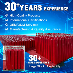 مدفع إطفاء حريق جيايي قابل لإعادة الشحن عالي السعة 10 كجم، طفاية حريق محمولة تعمل بثاني أكسيد الكربون مع ضمان 5 سنوات للمصانع - Product Image 4