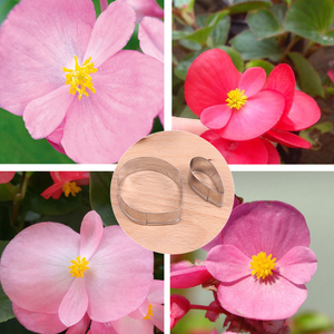 2 cái sáp Thu hải đường fondant <span class=keywords><strong>Cutter</strong></span> <span class=keywords><strong>Set</strong></span> thép không gỉ 430 hoa cánh hoa kẹo cao su dán Cookie Baking khuôn DIY bánh trang trí công cụ - Product Image 1