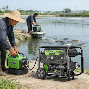 VETEX 파워 가솔린 발전기 6Kw 단상 230V 240V 50Hz 전기 소형 휴대용 발전기 6Kw 가정용 백업 발전기 - Product Image 2