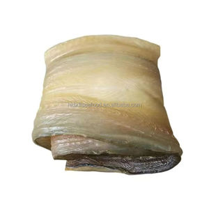 Anguilla japonica 500G แพ็กเกจแบบไม่มีทรายไขมันต่ำธรรมชาติตากแดดธรรมชาติปลาไหลปลาทะเลแห้ง - Product Image 1