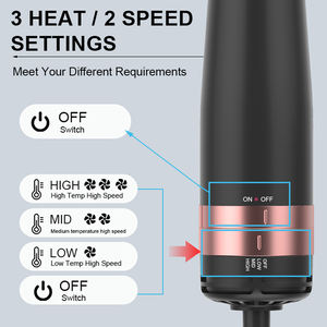 2 1 керамические инструменты для укладки волос набор недорогих щеток горячего воздуха PTC светодиодный температурный дисплей без повреждений Сменные ролики - Product Image 3
