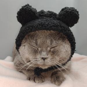 かわいいふわふわポリエステルパンダのクロシェ編みハロウィン無地冬クリスマス猫犬ペット帽子 - Product Image 4