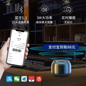 Portable <b>Speaker</b> 5.3 3W High Power <b>Mini</b> <b>Speaker</b> With Real-time Announcement For Indoor Outdoor Use - Product Image 1