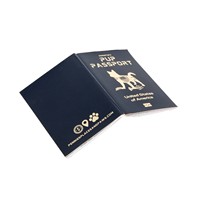 Passeport d'activités personnalisé pour enfants pour camps d'été – Vente en gros