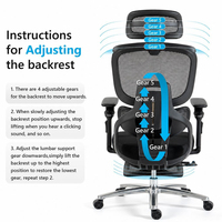 Chaise de bureau ergonomique avec dossier en maille réglable, massage par vibration, soutien lombaire, accoudoirs 6D pour le bureau à domicile
