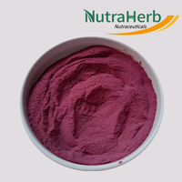 Bubuk Jus Buah Blueberry Kering Beku Alami Murni dengan Layanan Kemasan OEM