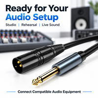 Kabel Audio TS 6.5mm ke XLR Male, Tembaga Bebas Oksigen, Konektor Berlapis Emas untuk Mixer, Studio, Siaran Langsung, Kamera Mobil