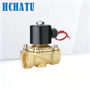 Valvola Solenoide Elettrica in Ottone Serie 2W a 2 Vie per Alta Temperatura, 1/4in-2in, Normalmente Chiusa, per DC12V 24V AC110V 220V - Product Image 1