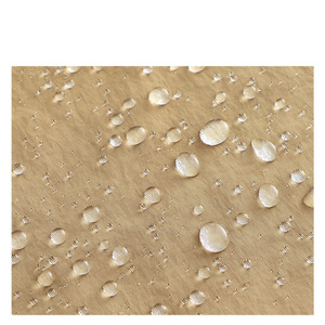 Tablier imperméable et résistant à l'huile en TPU transparent, pour cuisine et travail, résistant aux taches, lavable, avec ceinture, couleur unie, usage quotidien - Product Image 1