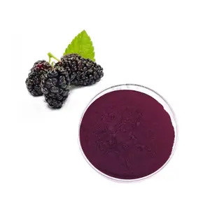 Beat Price Natural Fruit Extractr Mulberry Extract Powder