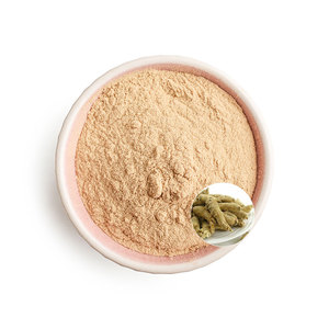 ผงสารสกัดจากโสมอเมริกันธรรมชาติให้สารสกัดจากสมุนไพรพลังงาน10:1ผงโสมอเมริกัน20:1 - Product Image 3