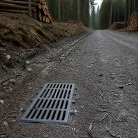 Grille de drainage à fente en fonte de fer, couvercle de caniveau robuste à fente longue pour système de drainage routier municipal