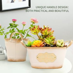 <b>Small</b> Vintage Style Metal Planter Indoor/Outdoor Iron Flower <b>Pot</b> with Handles for Home Garden or Decorative Metal Bucket - Product Image 4