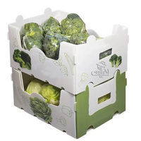 Boîte de rangement pliable et étanche en polypropylène ondulé Correx, boîte de transport pour fruits frais et asperges, conteneur de livraison
