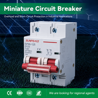 Disjoncteur miniature AC 2P 80A 1000A 125A 10KA, disjoncteurs électriques
