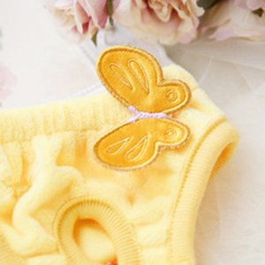 Culotte nouveau short physiologique pour <span class=keywords><strong>chien</strong></span>, petite culotte en silicone lavable, sous-vêtement menstruel, <span class=keywords><strong>couche</strong></span>-culotte pour chiots - Product Image 2