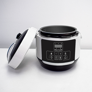 Olla a Presión Eléctrica, Cocción Rápida en 3 Minutos, <span class=keywords><strong>20</strong></span> Menús, Olla <span class=keywords><strong>Arrocera</strong></span> Doméstica, Olla Interior de Acero Inoxidable con Divisor, Menús Asiáticos - Product Image 5