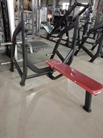 Banc de musculation commercial XinRui, équipement de gym, banc plat en acier inoxydable et caoutchouc, capacité de charge de 80 kg, certifié CE