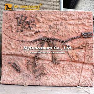 My Dino DS-124 Plaque d'exposition <span class=keywords><strong>de</strong></span> fossile <span class=keywords><strong>de</strong></span> dinosaure <span class=keywords><strong>Velociraptor</strong></span> pour musée - Product Image 6