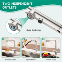 Robinet à 3 voies en acier inoxydable à double poignée, robinet d'eau pure pour évier de cuisine, mitigeur en céramique, design moderne